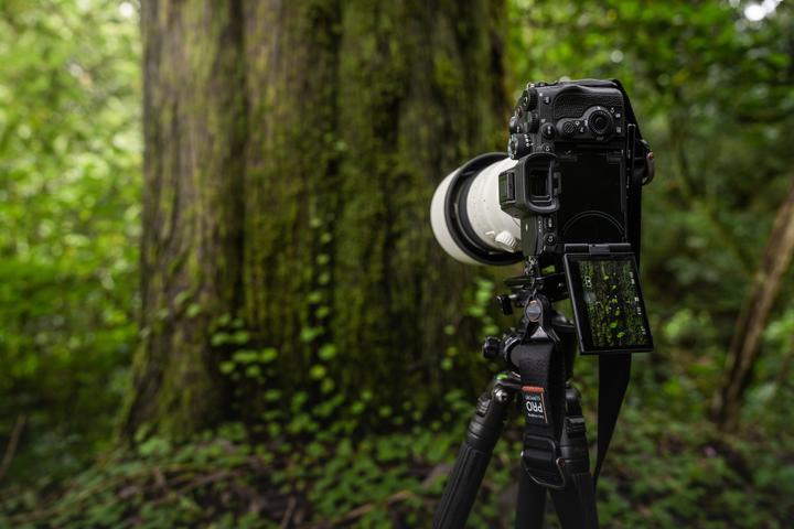 Immagine prodotto Sony Alpha 7RV - (EU) (61 Mpx, Full frame / FX)