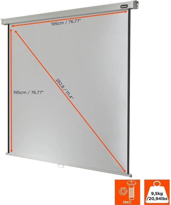 Actual product image Celexon Rollo Professional (112", 1:1)