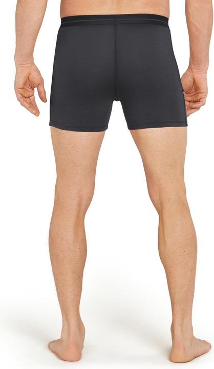 Actual product image Icebreaker Anatomica (M)