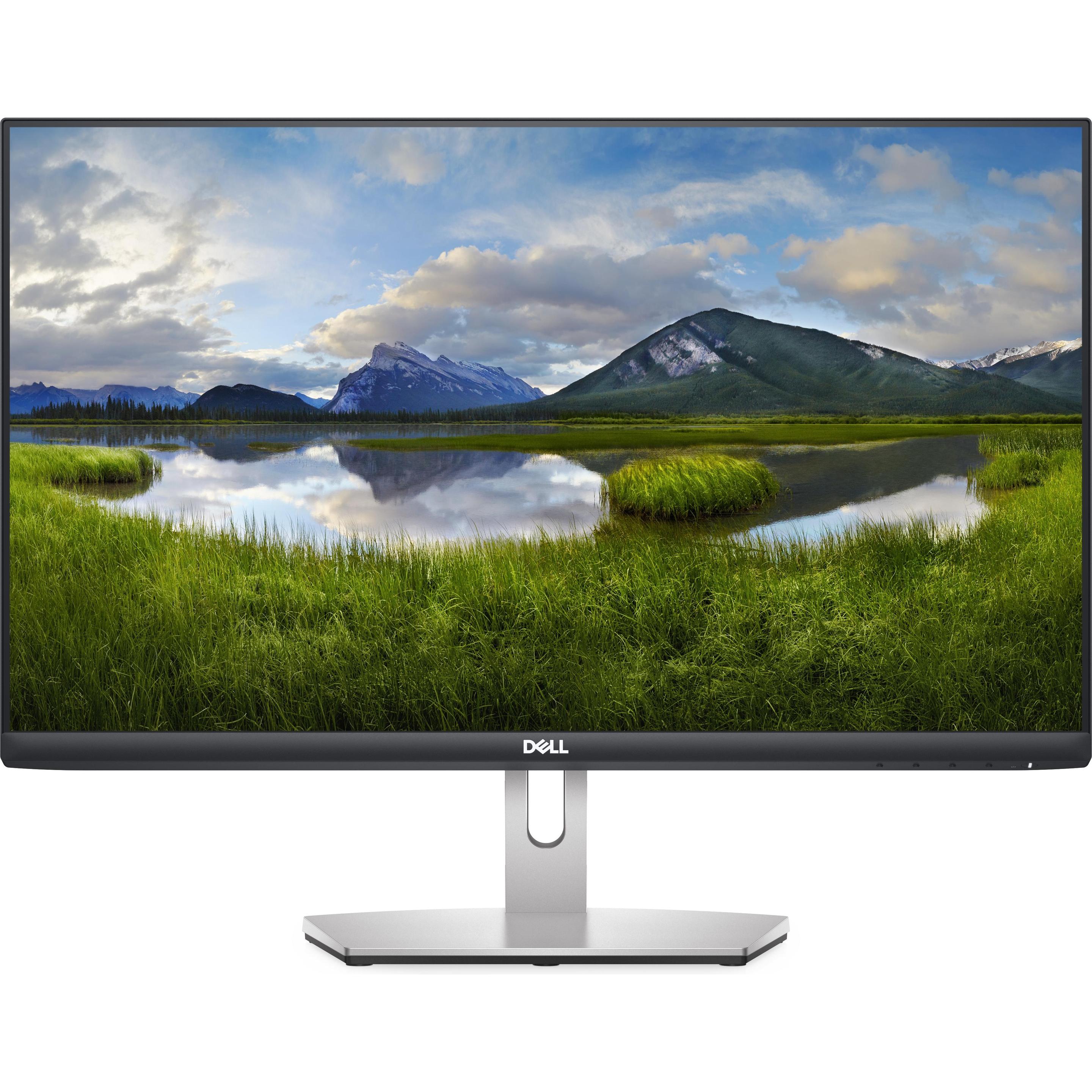 Dell S2421HN (1920 x 1080 Pixel, 23.80"), Monitor, Silber