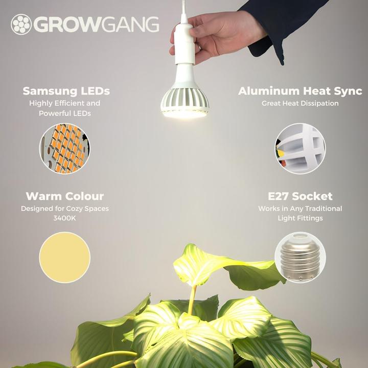 Immagine prodotto Grow Gang Vollspektrum LED Pflanzenlampe Pianta (LED)