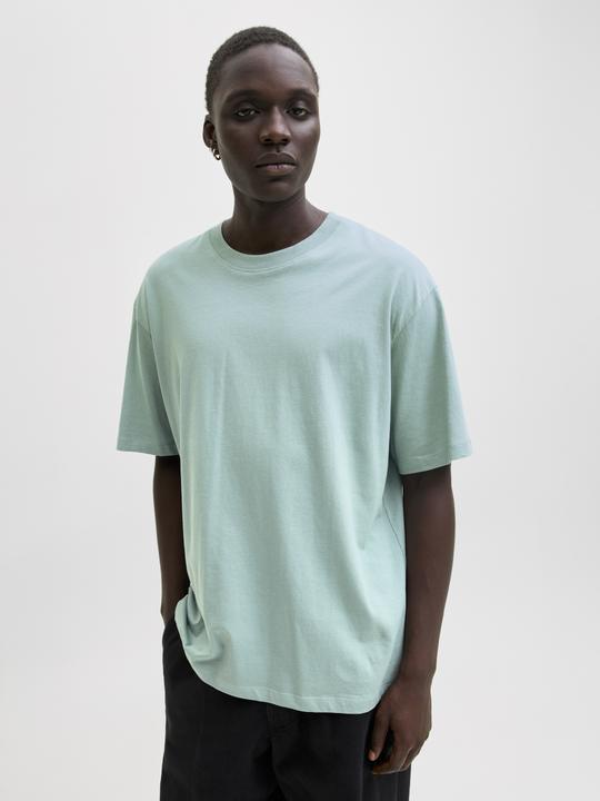 Actual product image Jack & Jones Jjebradley Tee Ss O-Neck Noos (XL)