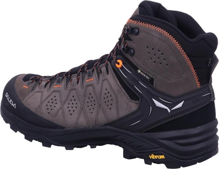 Produktbild Salewa Alp Trainer 2 Mid GTX Schuhe (47)