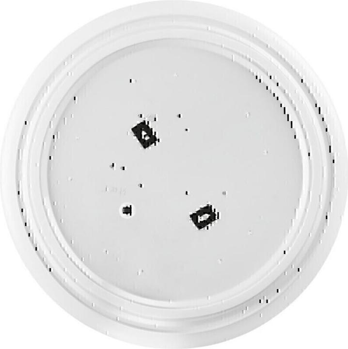 Actual product image Ledvance LED wall/ceiling light (960 lm)