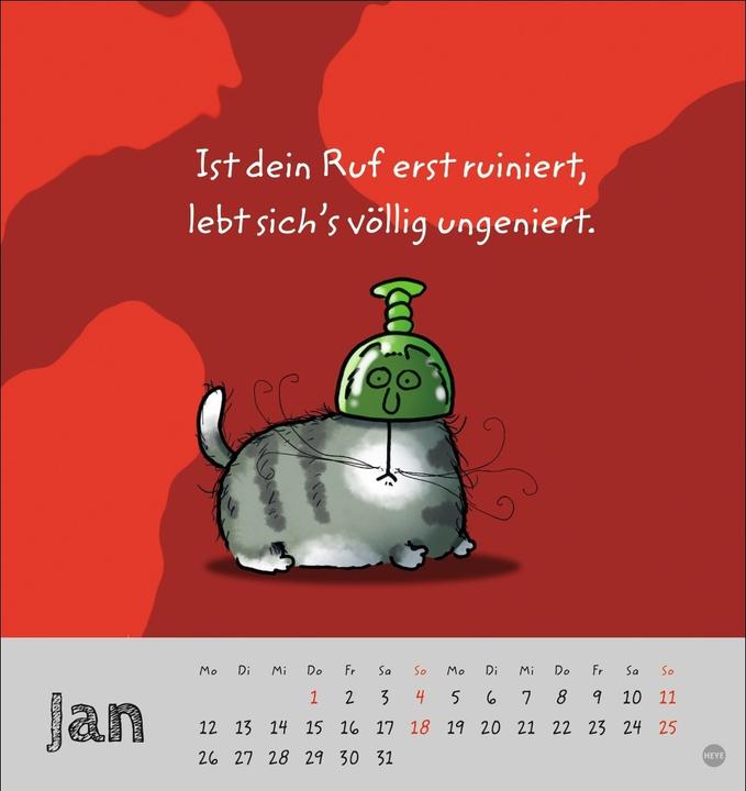 Produktbild Catzz Postkartenkalender 2026 (Postkartenformat)