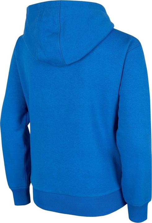 Produktbild 4F HJZ22 Kapuzenpullover Zum Überziehen (164)