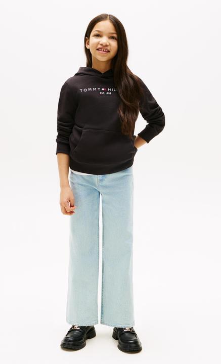 Actual product image Tommy Hilfiger Essential Hoodie (116)