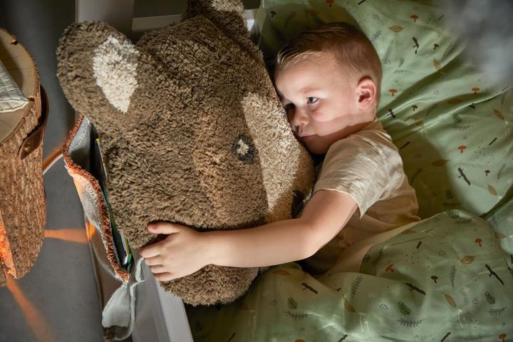 Produktbild Lifetime Kidsrooms 4 in 1 Bett Canoe Adventure mit Stoffdach,Rueckwand deluxe Lattenrost (90 x 200 cm)