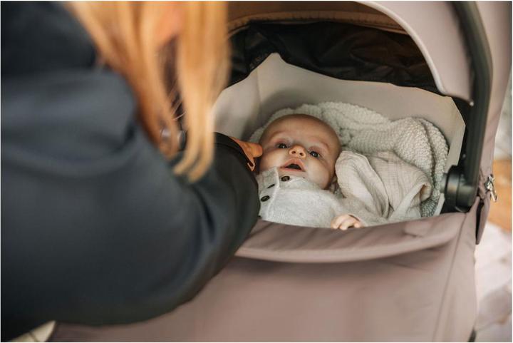 Actual product image Thule Urban Glide und Spring Bassinet