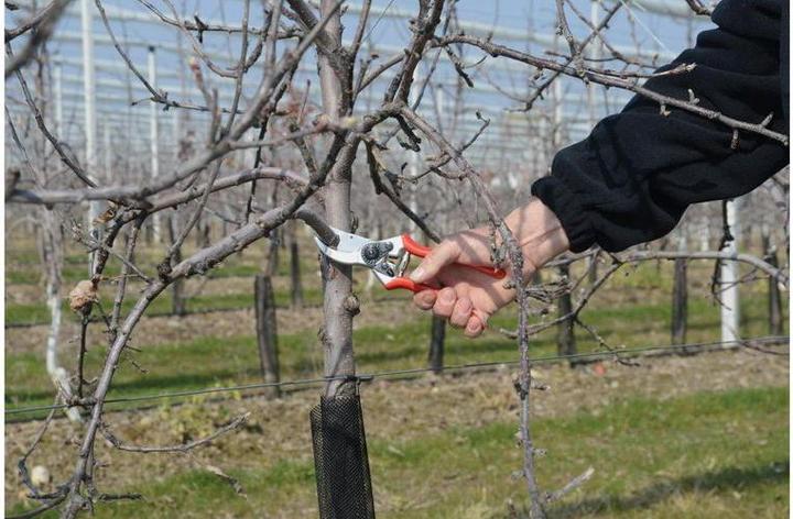 Produktbild Felco 2 + 500