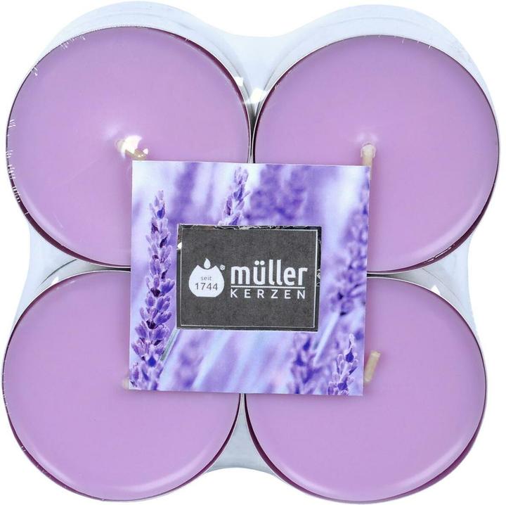 Kräuter, Lavendel