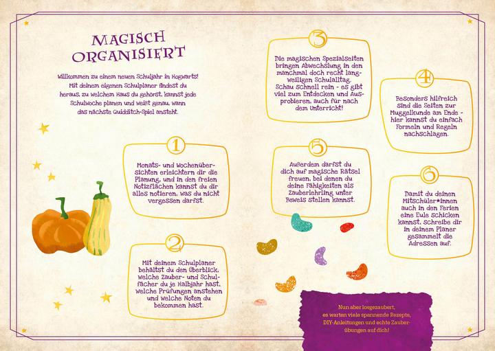 Valeurs nutritives et ingrédients AGENDA HARRY POTTER 2024/2025 (15,5 x 21 cm)