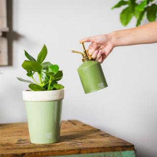 Produktbild Esschert Design Grüntöne Pflanzensprüher (0.63 l)
