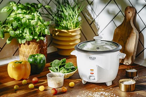 Actual product image Adler Rice cooker
