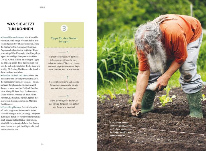 Produktbild Mein Gartenkalender 2026 (Deutsch, Wolf-Dieter Storl, 2025)