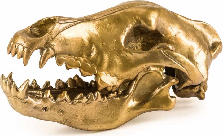 Produktbild Diesel Living with Seletti Wolf Skull Wolf This Way - Wunderkammer Skulptur