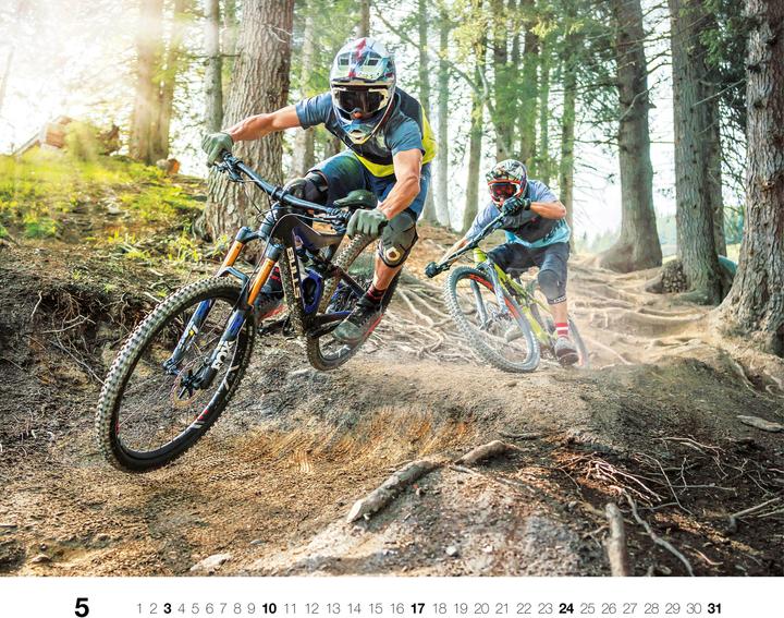 Produktbild Freeride 2026 (56 x 46 cm)