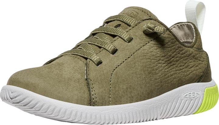 Evening primrose, Grün, Martini Olive