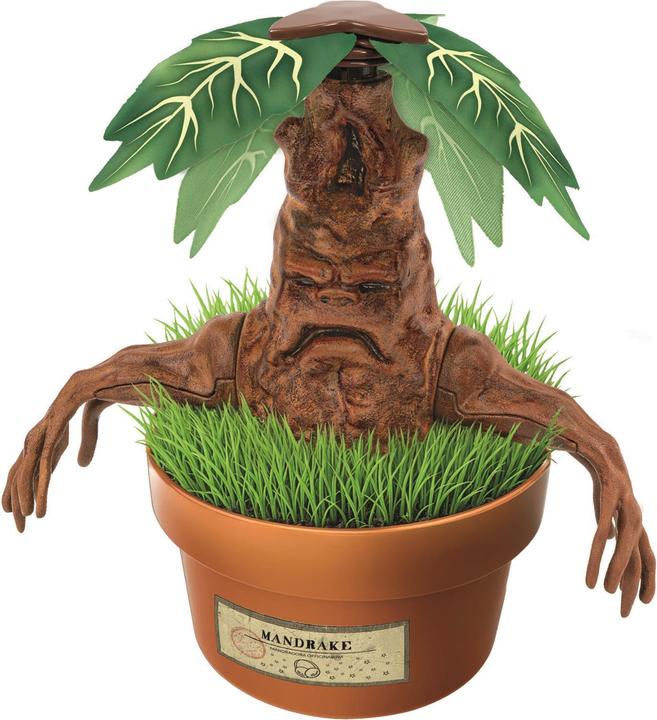 Image du produit Clementoni Mandragola