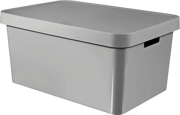 Actual product image Curver Infinity 45L gray container with lid (39 cm, 45 l)