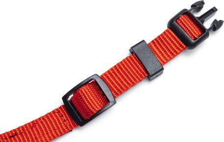 Actual product image Beeztees Premium Y Geschirr Parinca (Dog, General)