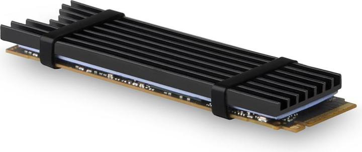 Actual product image Axagon CLR-M2L3