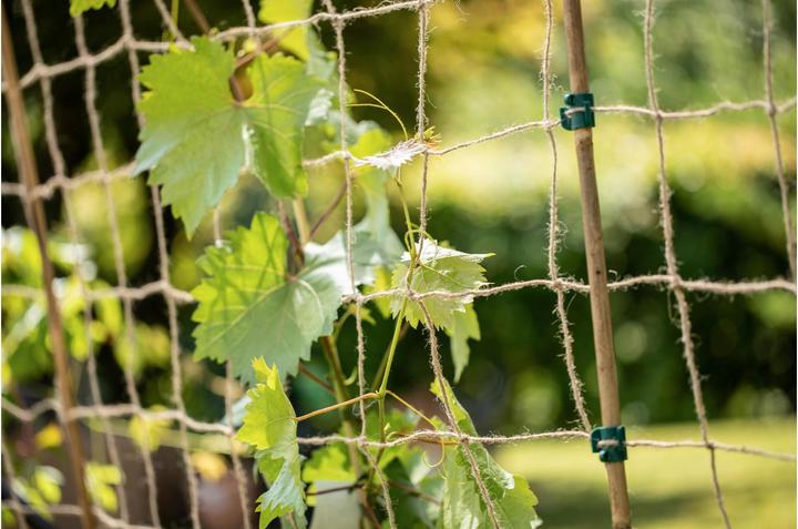 Immagine prodotto Windhager Rete da arrampicata di iuta (250 cm, 180 cm)