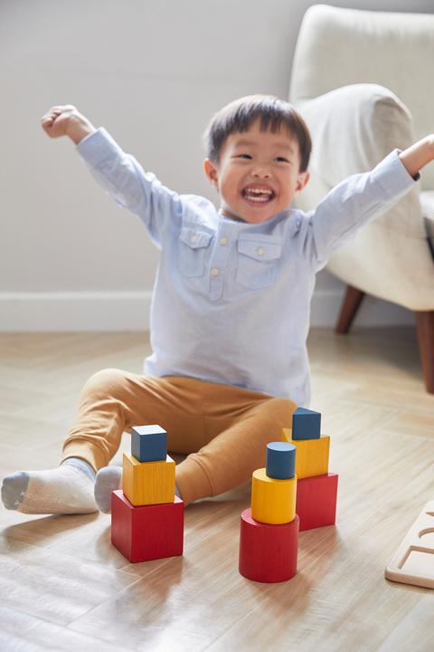 Produktbild Plantoys Steck Sortierspiel Unit Link Serie