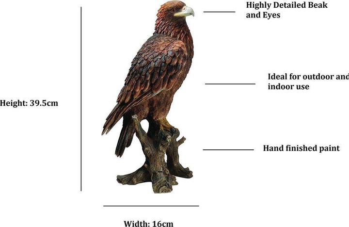 Image du produit Aigle royald