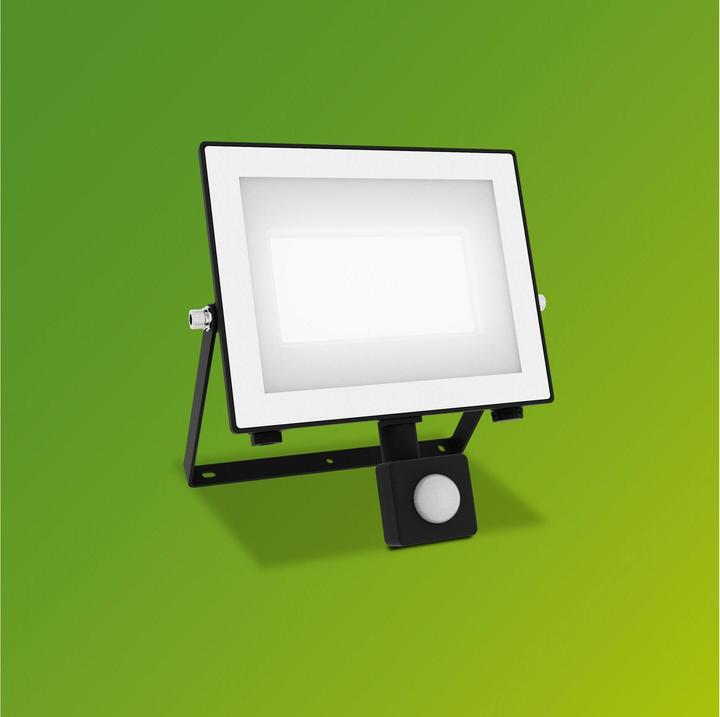 Actual product image Philips Outdoor Flutlicht Lois (5400 lm, IP65)