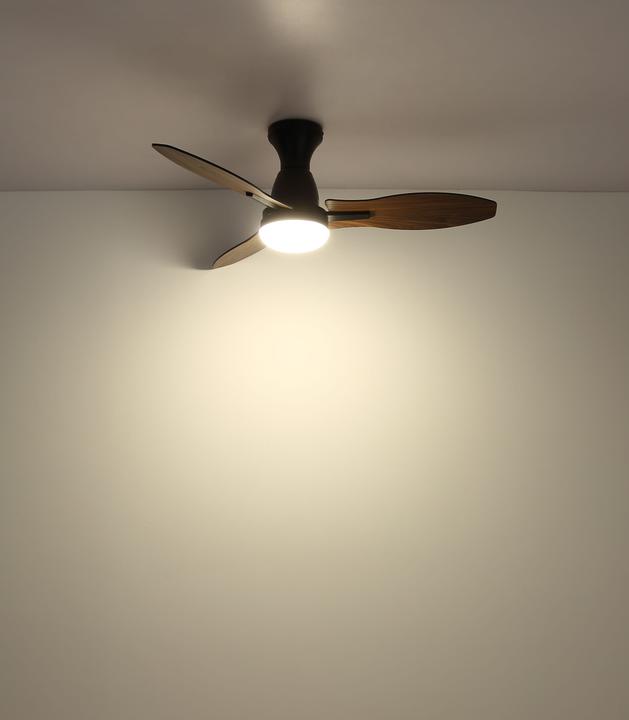 Produktbild Globo Gale (35 dB)