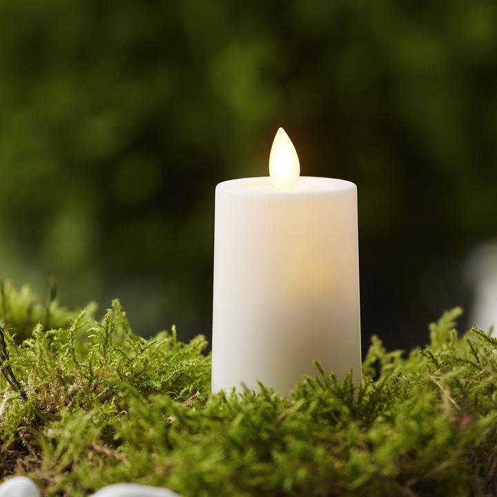 Actual product image Star Trading M-Twinkle (1 x)