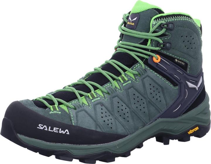 Produktbild Salewa Alp Trainer 2 Mid GTX Schuhe (45)