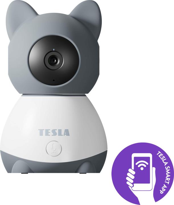 Actual product image Tesla Smart B250 surveillance camera, grey/white (1920 x 1080 Pixels)