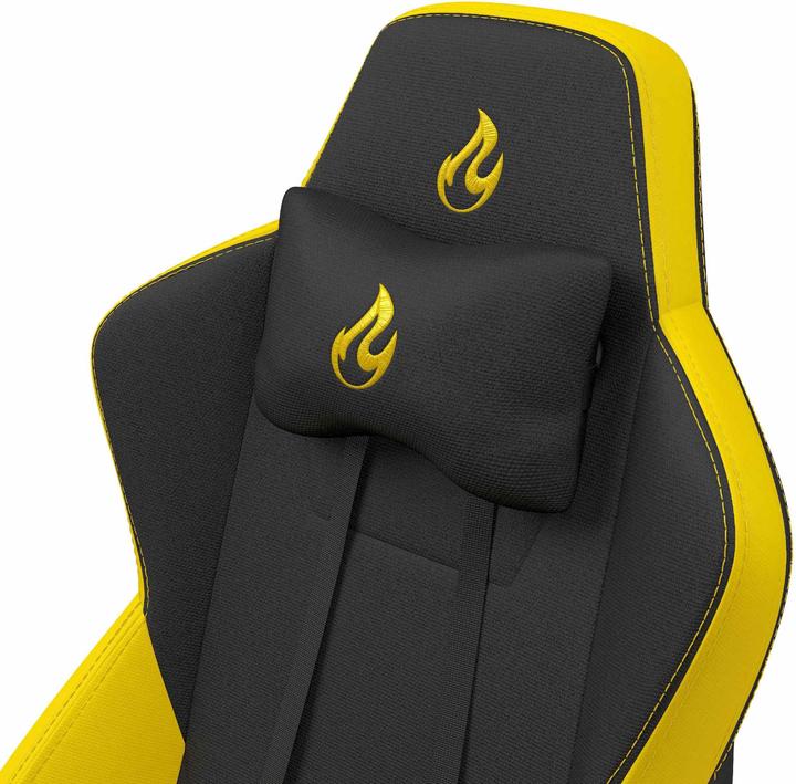 Image du produit Nitro Concepts S300