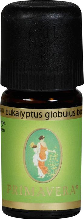 Actual product image Primavera EUKALYPTUS GLOBULUS BIO Essential Oil Fragrance Blend