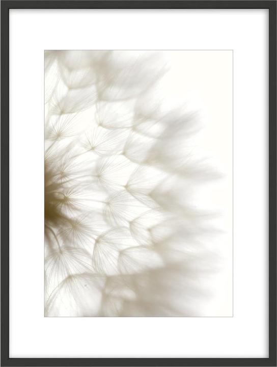 Immagine prodotto Intertrading Brasil