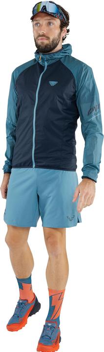 Actual product image Dynafit Alpine Shorts (XL)