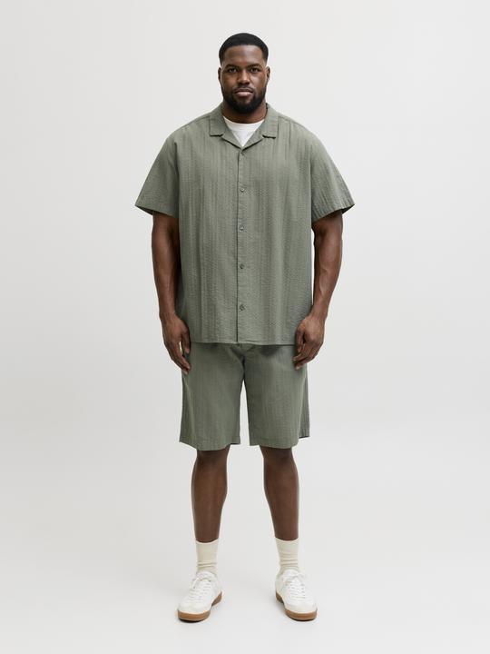 Image du produit Jack & Jones Jpstjaiden Tyson Jogger Short Pls (38)