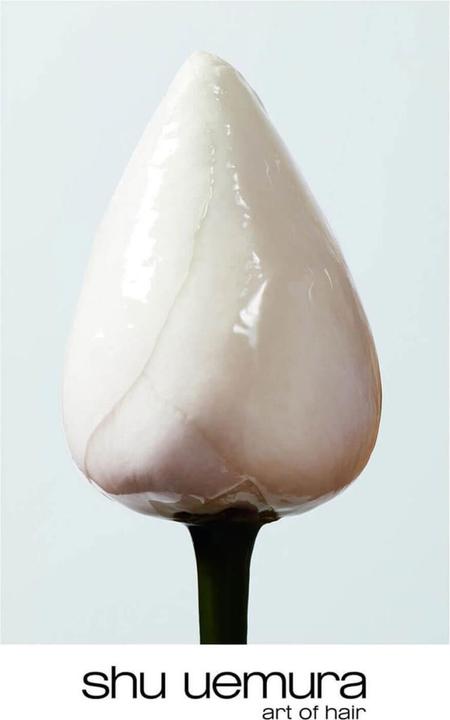 Image du produit Shu Uemura Huile protectrice nourrissante Essence Absolue (150 ml)