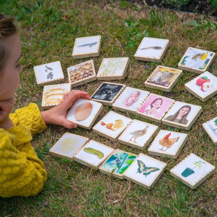 Actual product image TickiT Wooden life sequence picture tiles