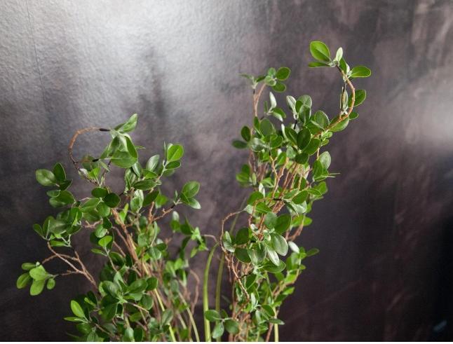 Produktbild Europalms Immergrünstrauch mit Gras, Kunstpflanze, 152 cm (152 cm)