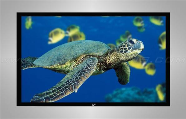 Elite Screens ezFrame (119.69", 16:9)