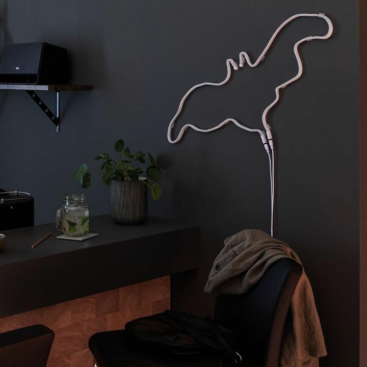 Actual product image Paulmann Neon Colorflex (Orange, 100 cm, Indoor)