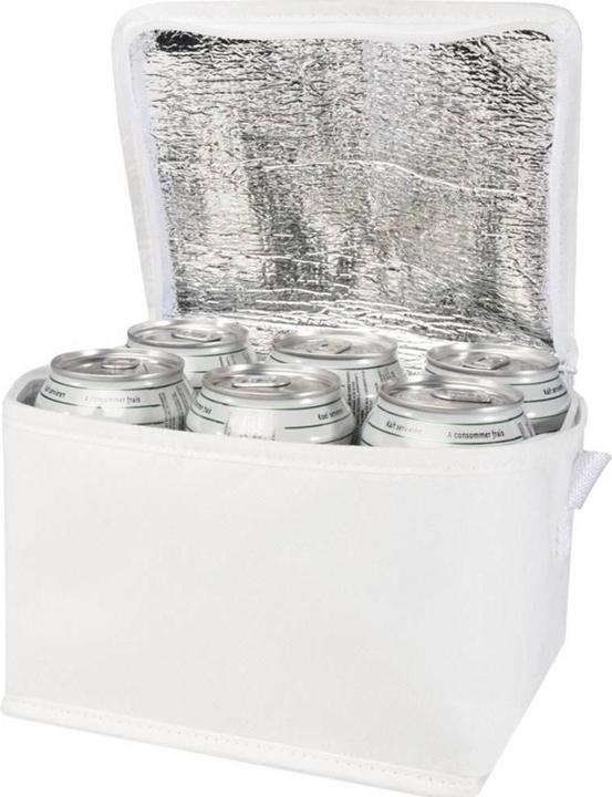 Image du produit Generic Sac réfrigérant SPECTRUM (4 l)