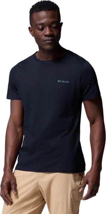 Black, Heavenly Horizons