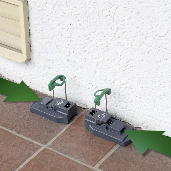 Actual product image Gardigo Mausefalle 2 St.