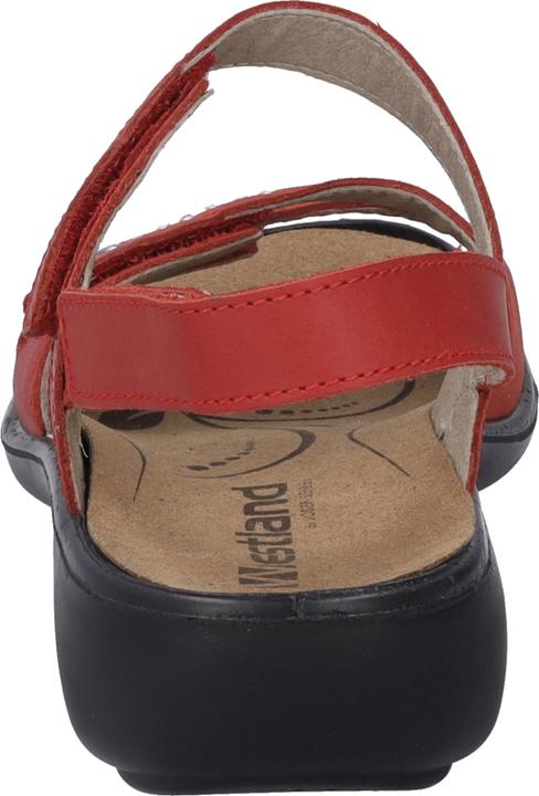 Actual product image Westland 16786-96 (41)