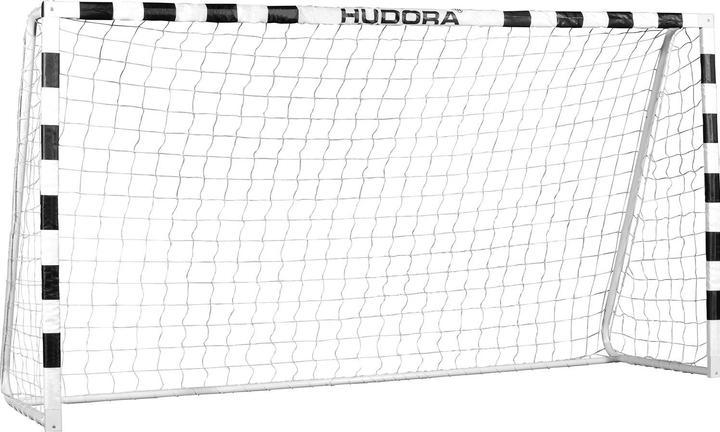 Image du produit Hudora Pro Tect 240