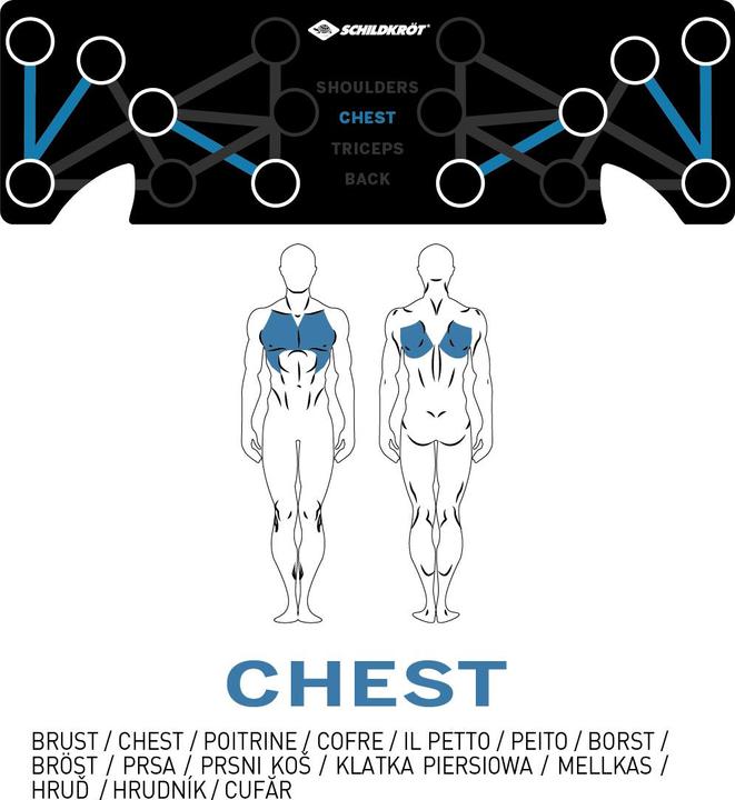 Actual product image Schildkröt push up